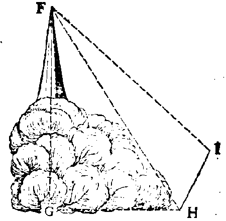 fig21
